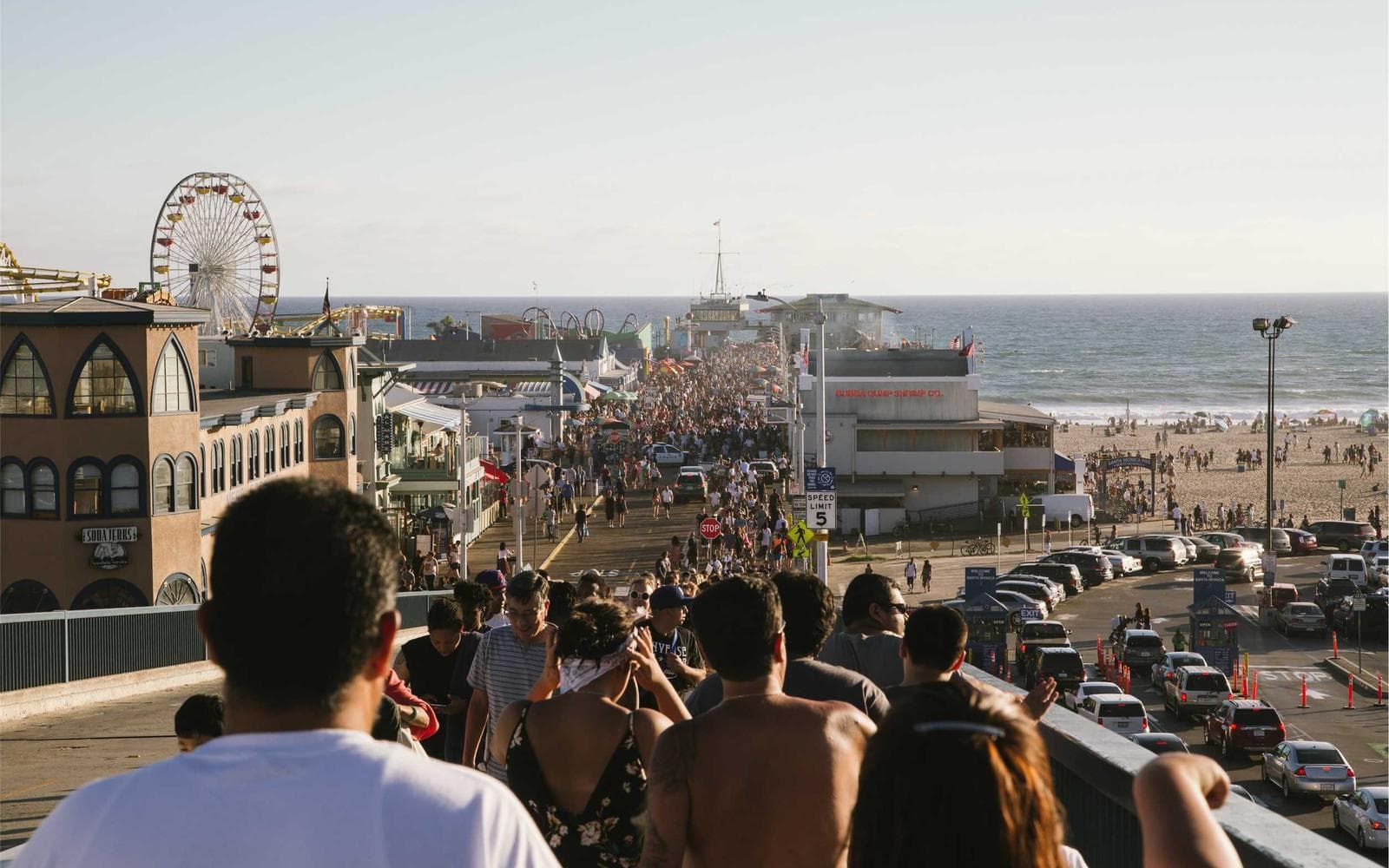 The Power of "I Am": Reclaiming Your True Identity